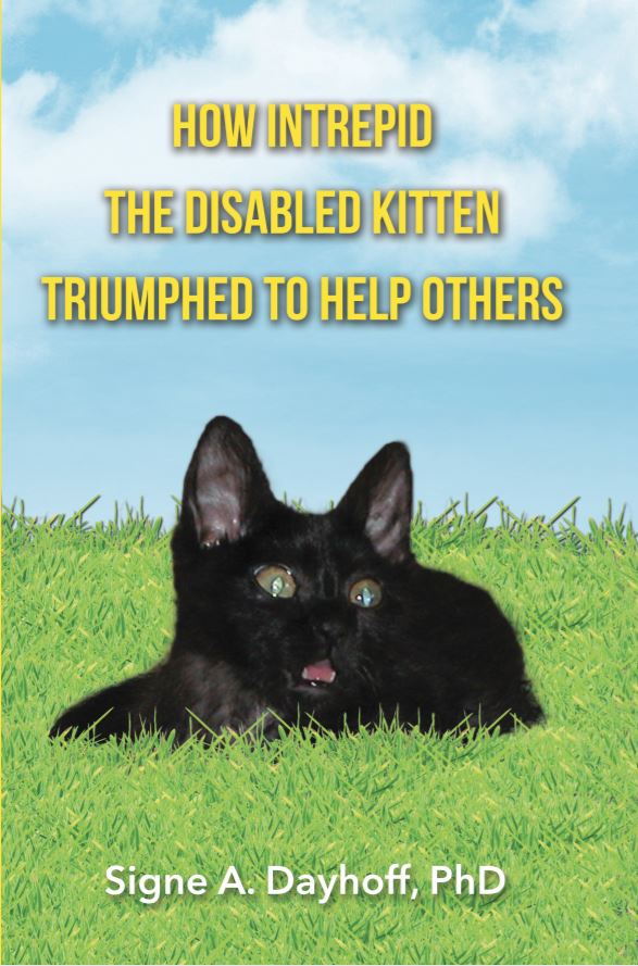 How Intrepid the Disabled Kitten Triumphed to Help Others
